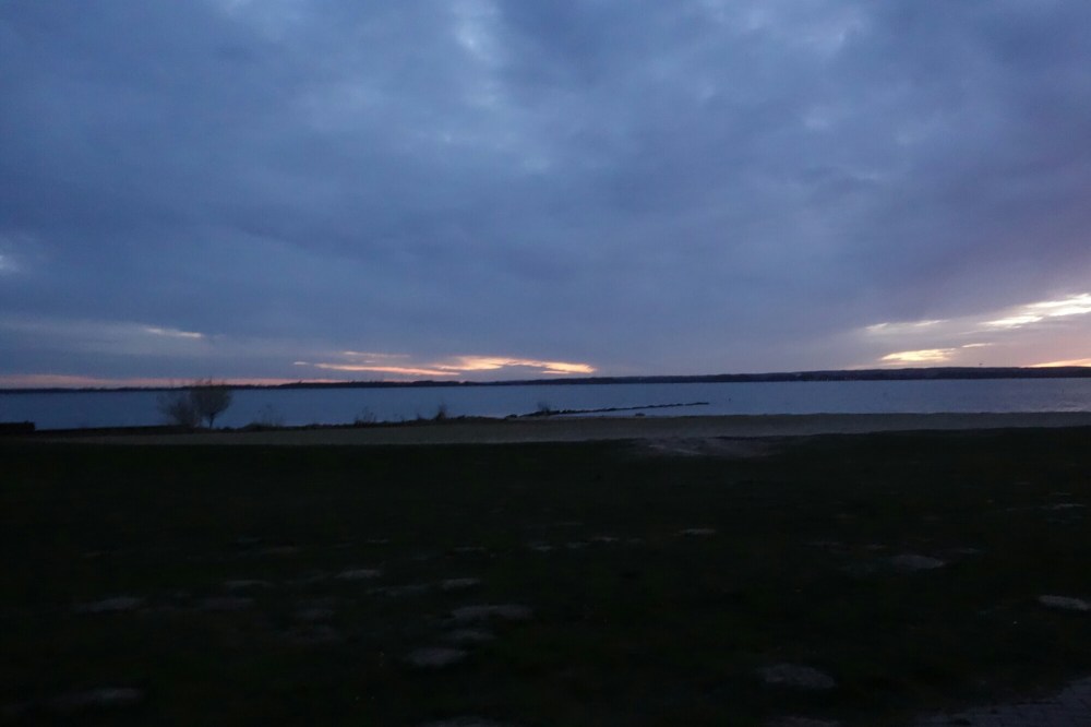 DSC00290.JPG image