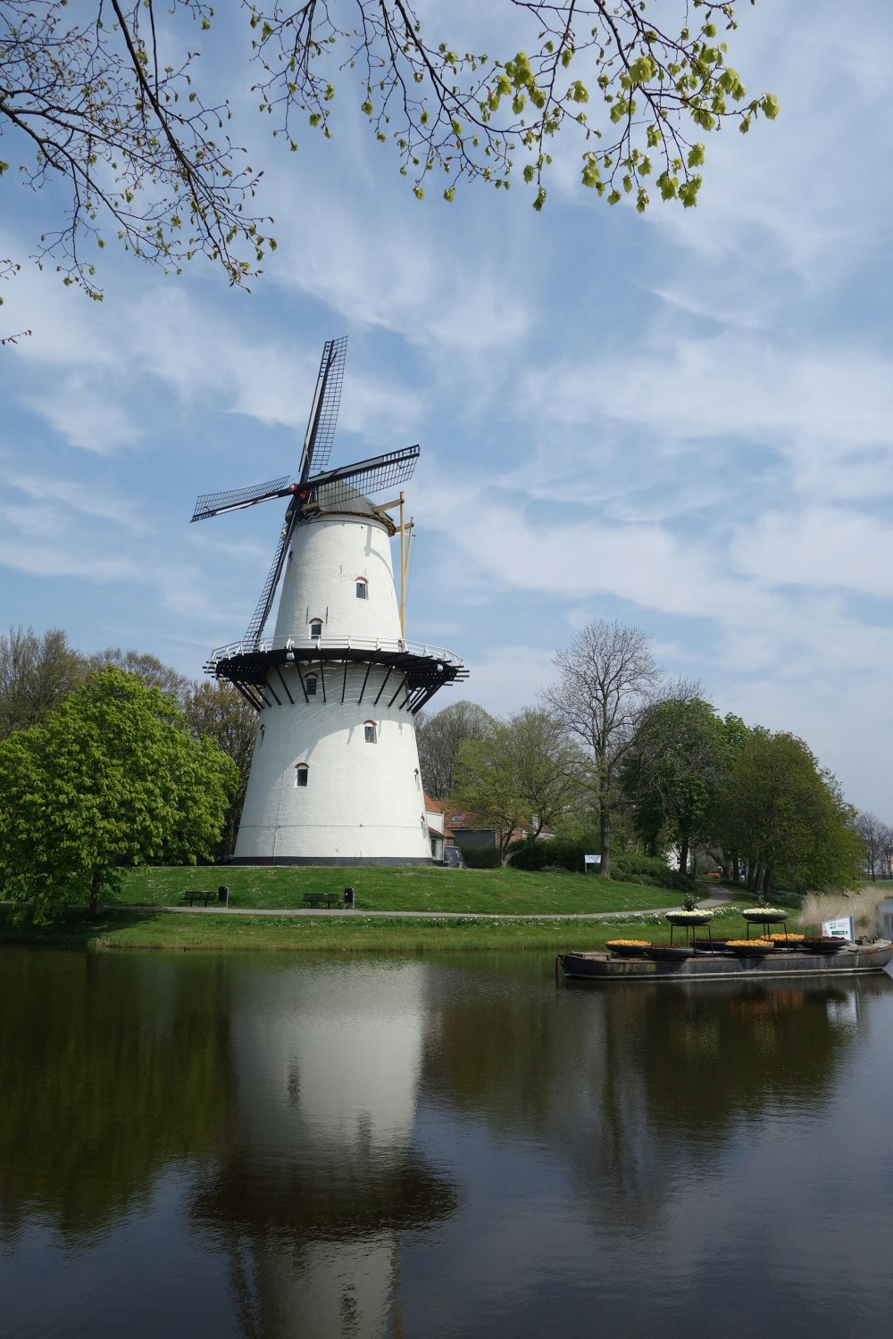 DSC00407.JPG image