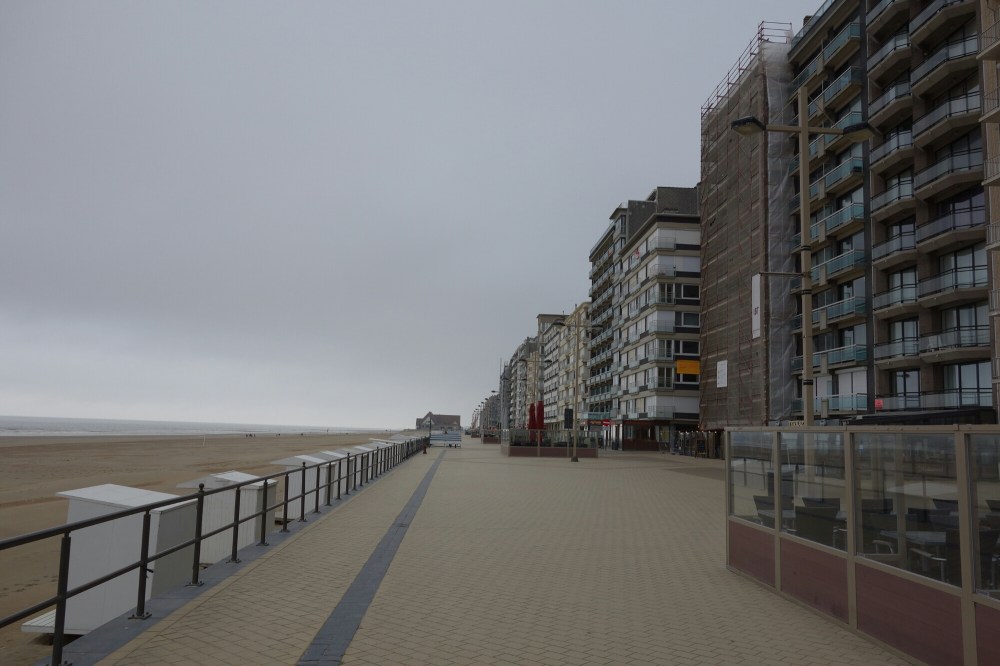 DSC00456.JPG image