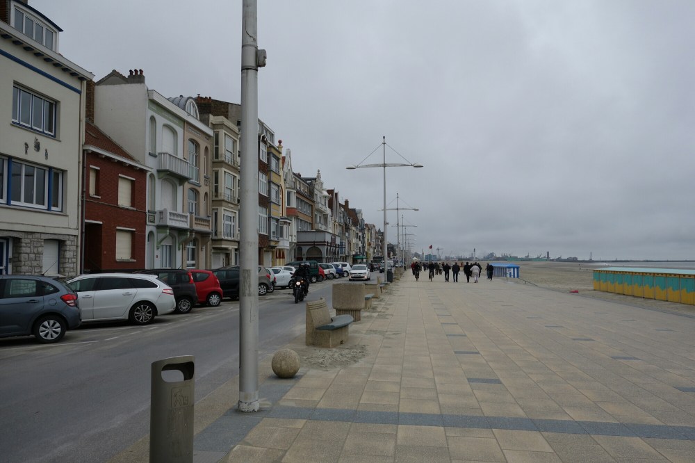 DSC00465.JPG image