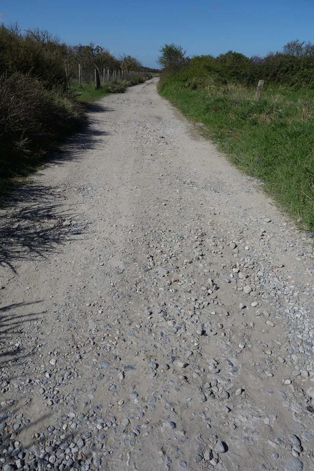 DSC00475.JPG image
