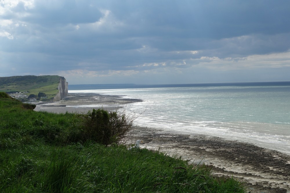 DSC00559.JPG image