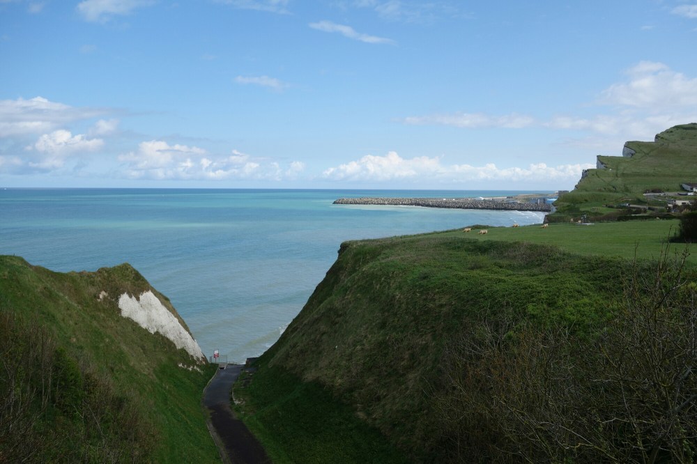 DSC00572.JPG image