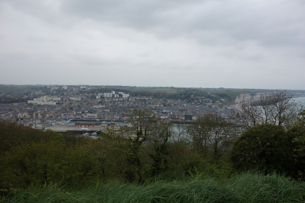 DSC00597.JPG image