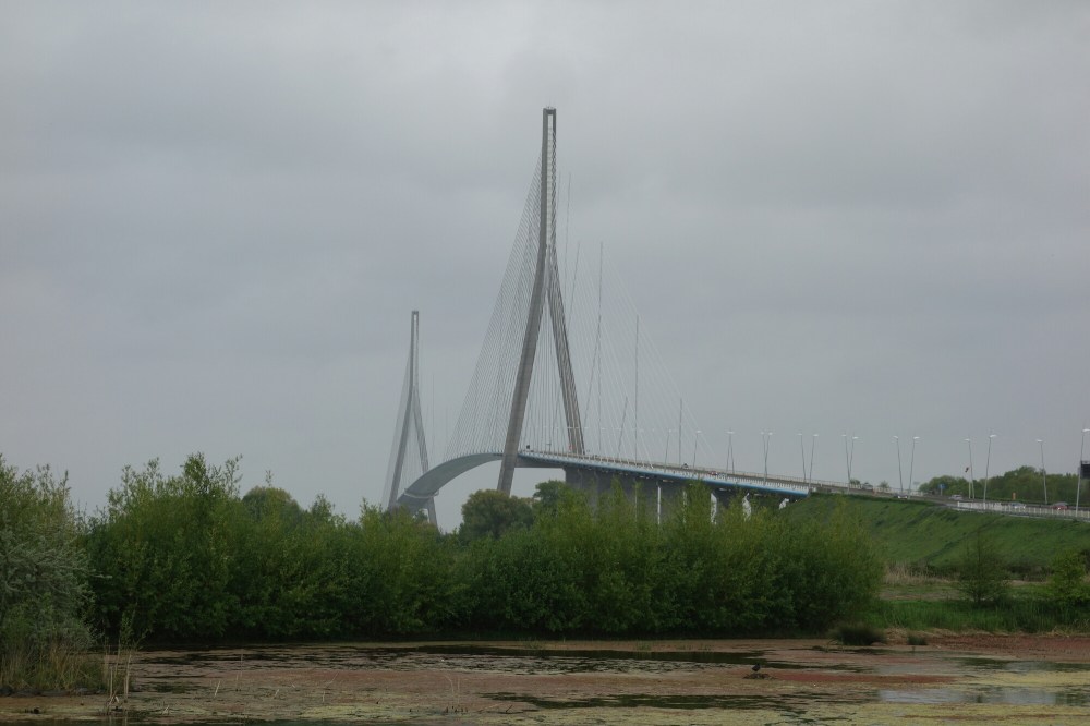 DSC00629.JPG image