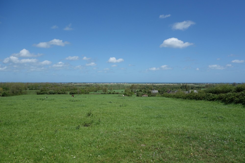 DSC00684.JPG image