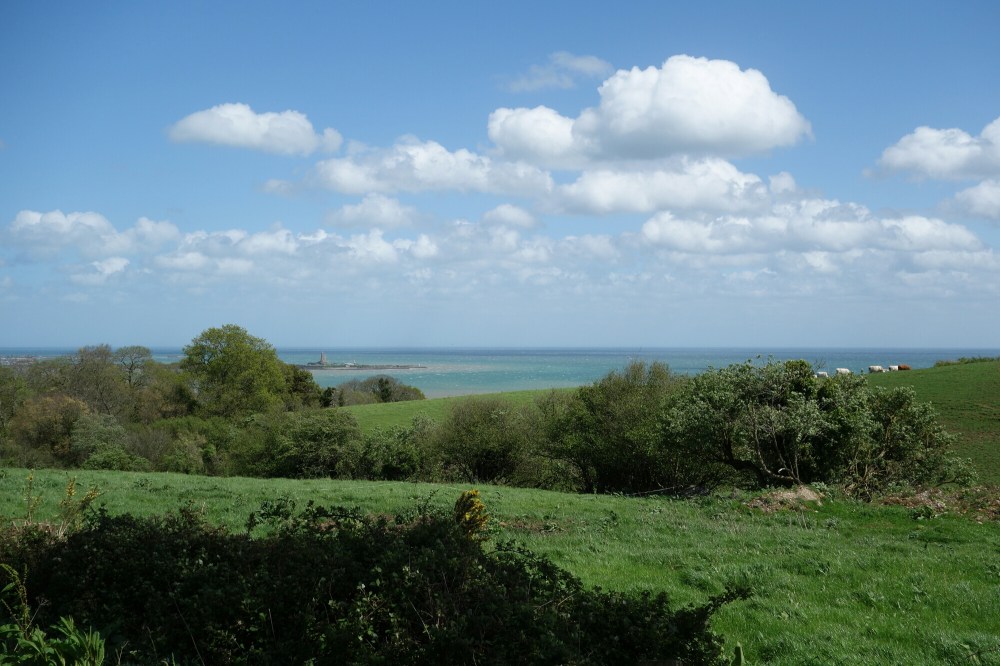 DSC00688.JPG image