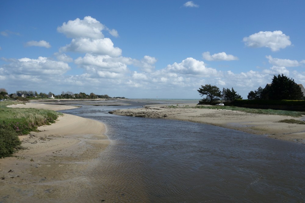 DSC00691.JPG image