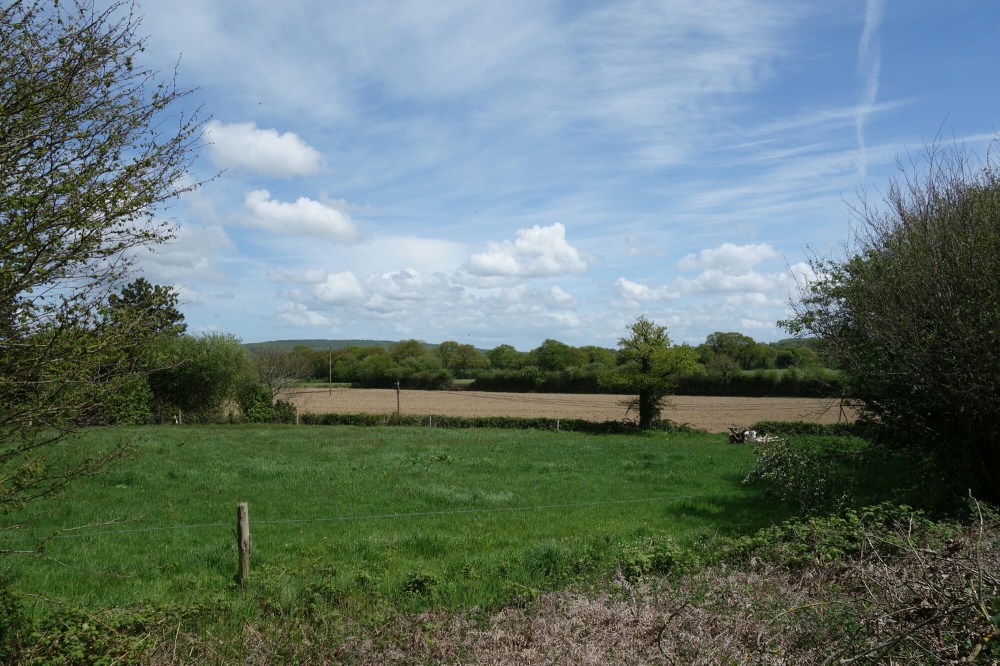 DSC00718.JPG image