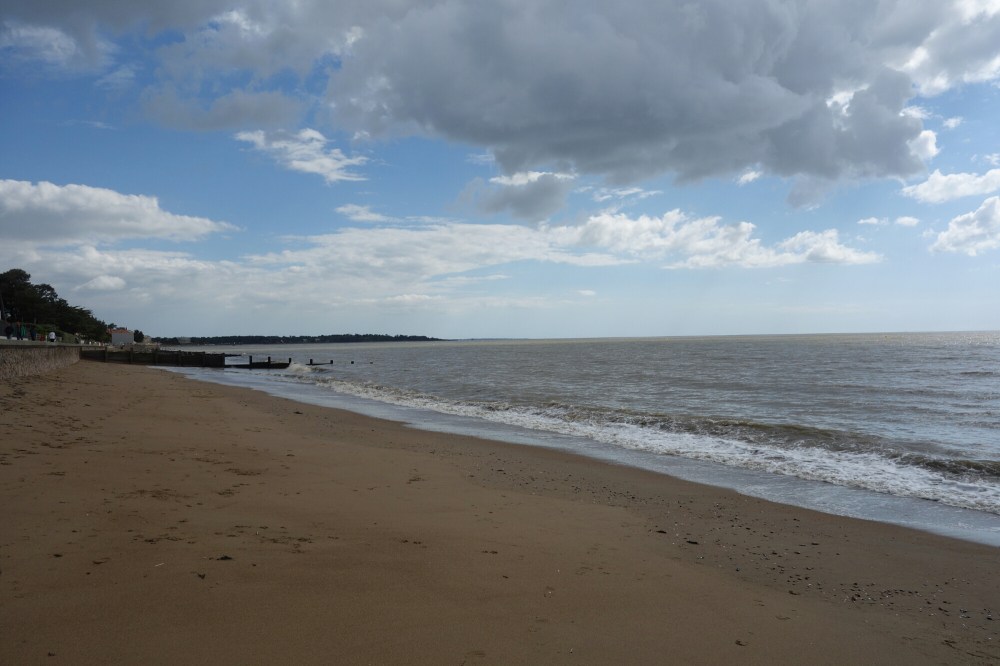 DSC01028.JPG image