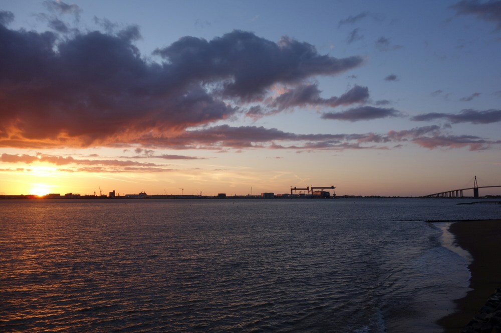 DSC01035.JPG image