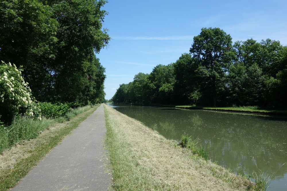 DSC01237.JPG image