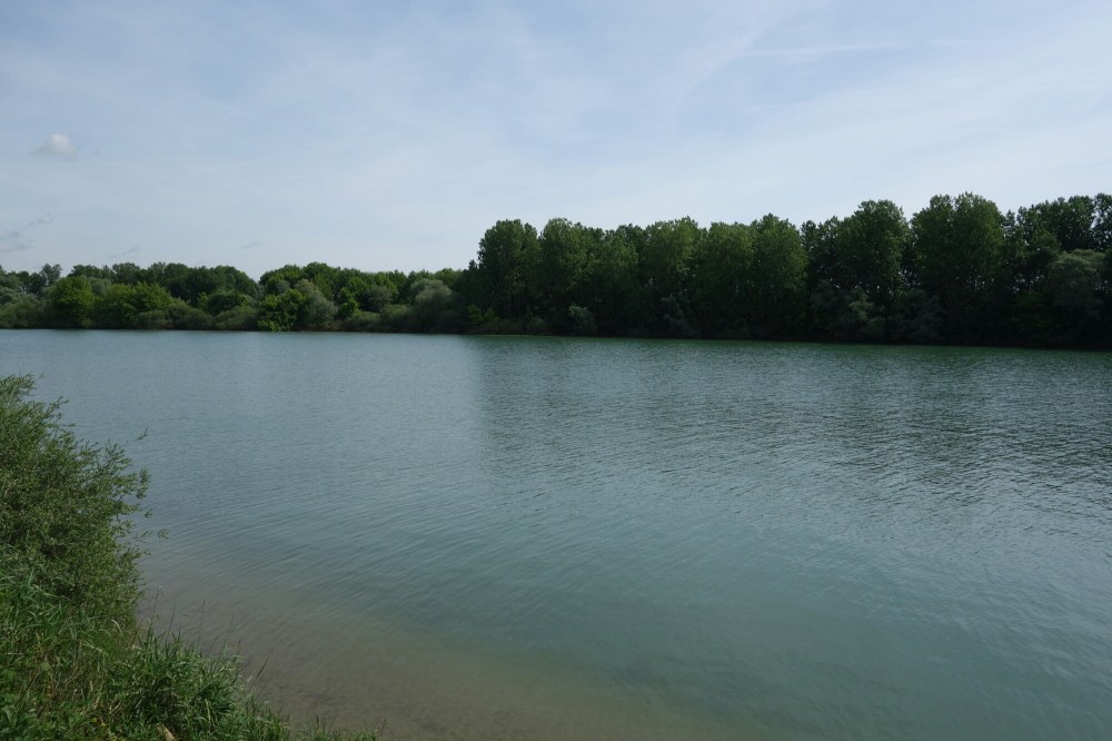 DSC01270.JPG image