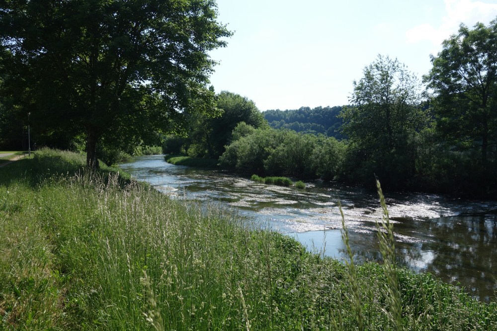 DSC01417.JPG image