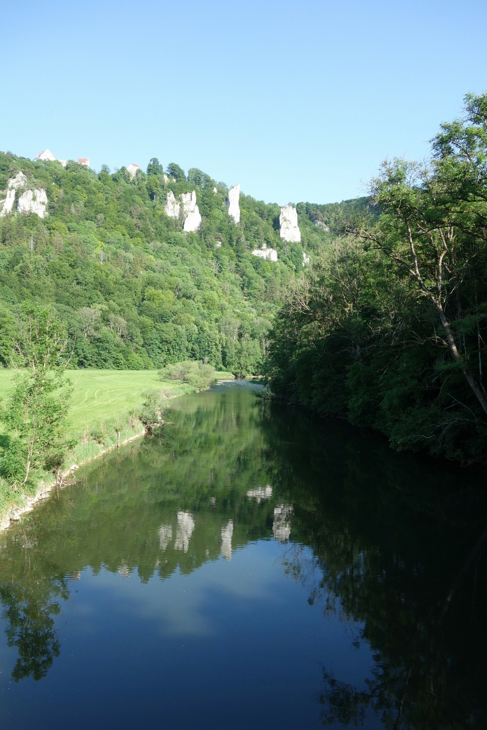 DSC01423.JPG image