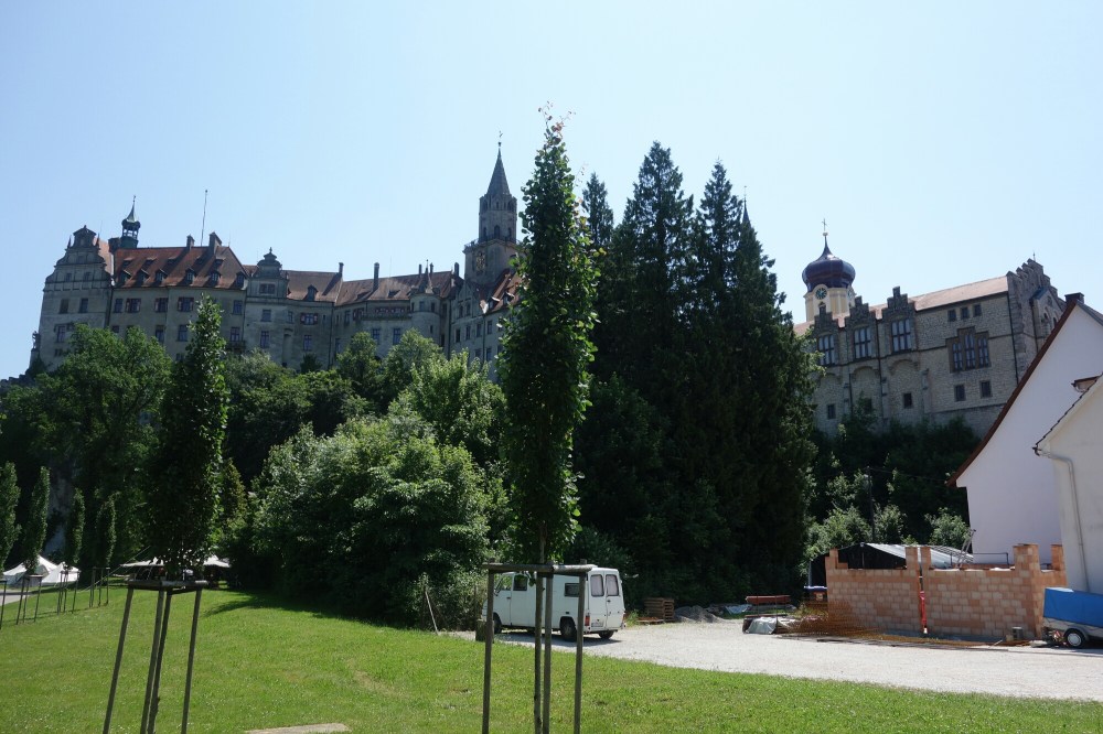 DSC01441.JPG image