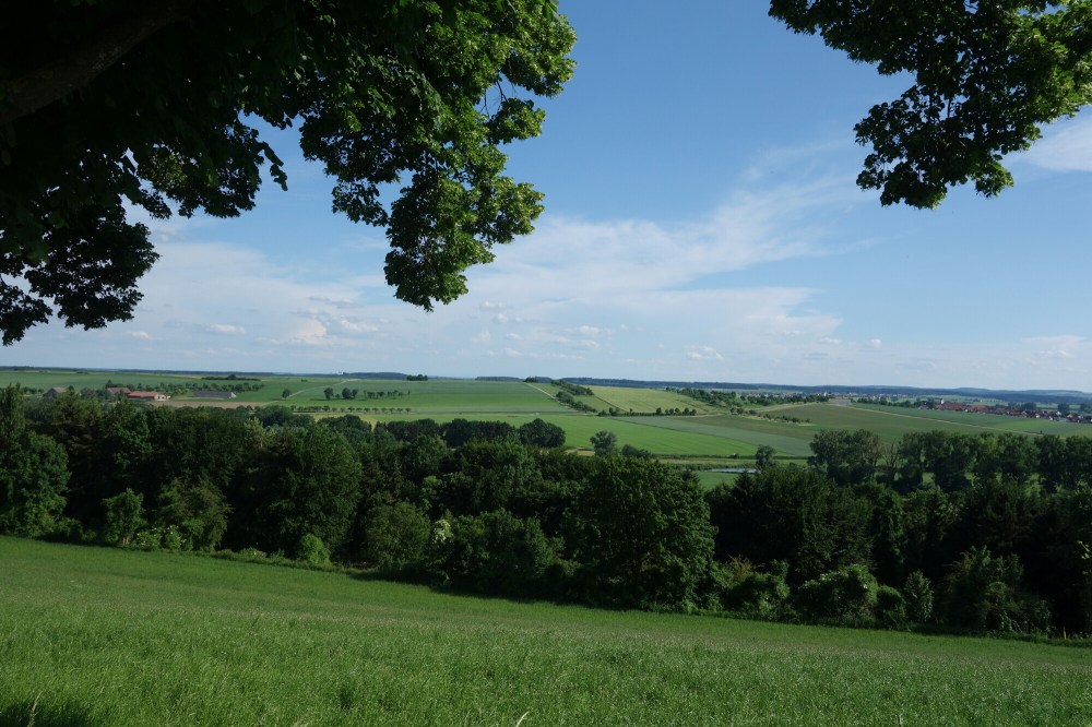 DSC01447.JPG image