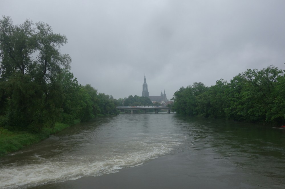 DSC01452.JPG image
