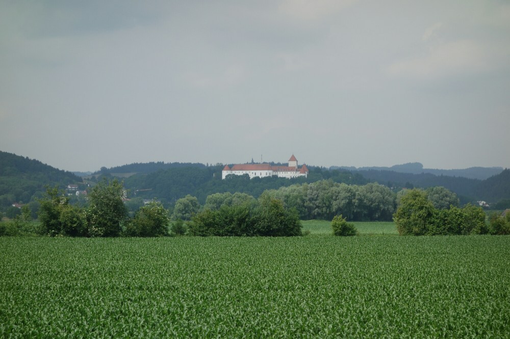 DSC01523.JPG image