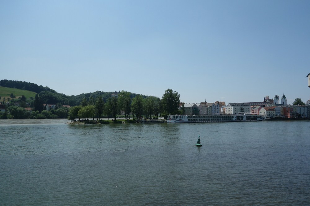 DSC01543.JPG image