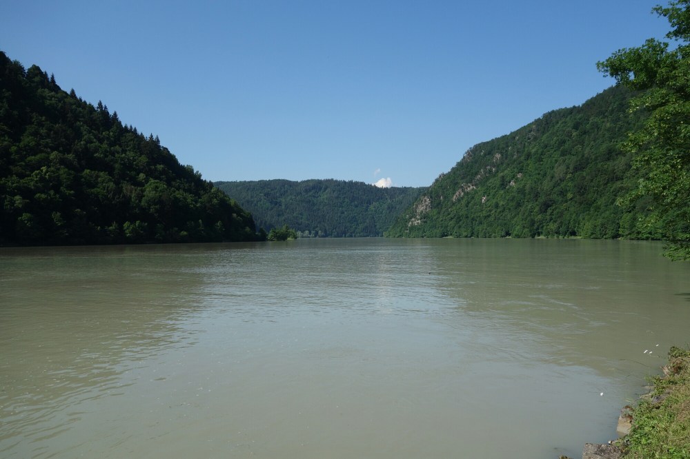 DSC01556.JPG image