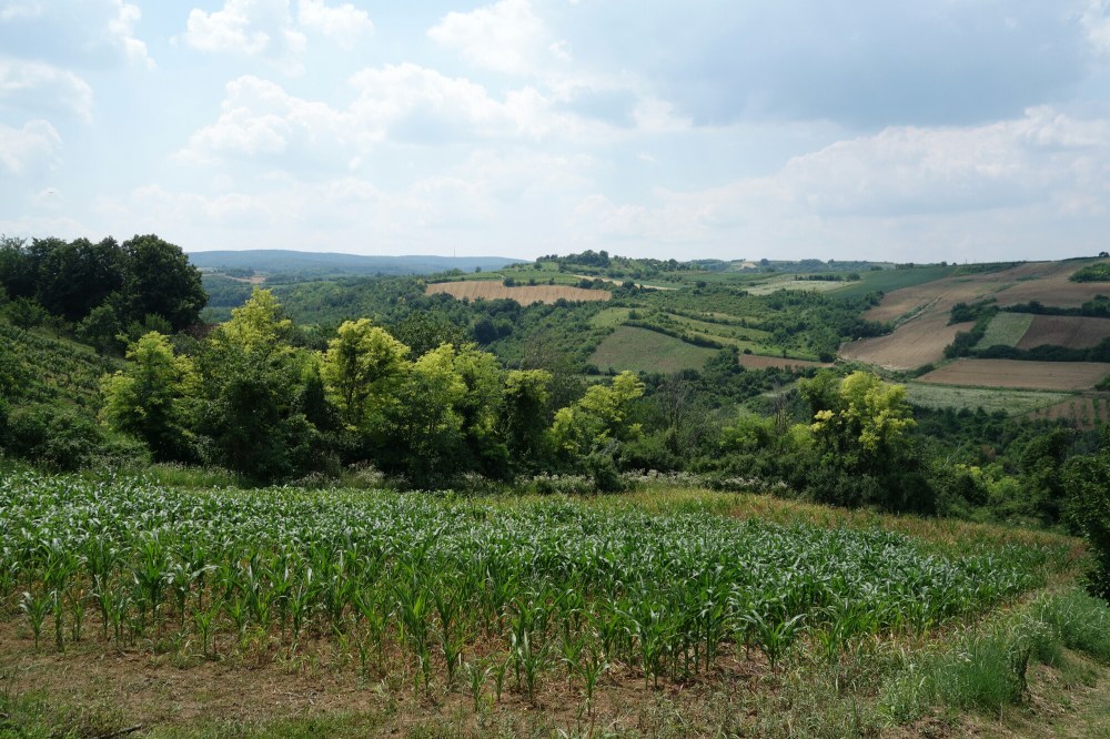 DSC01857.JPG image