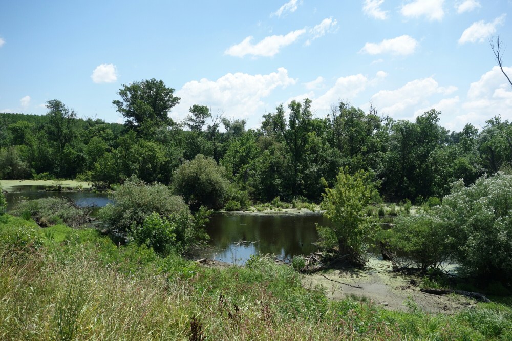 DSC01928.JPG image
