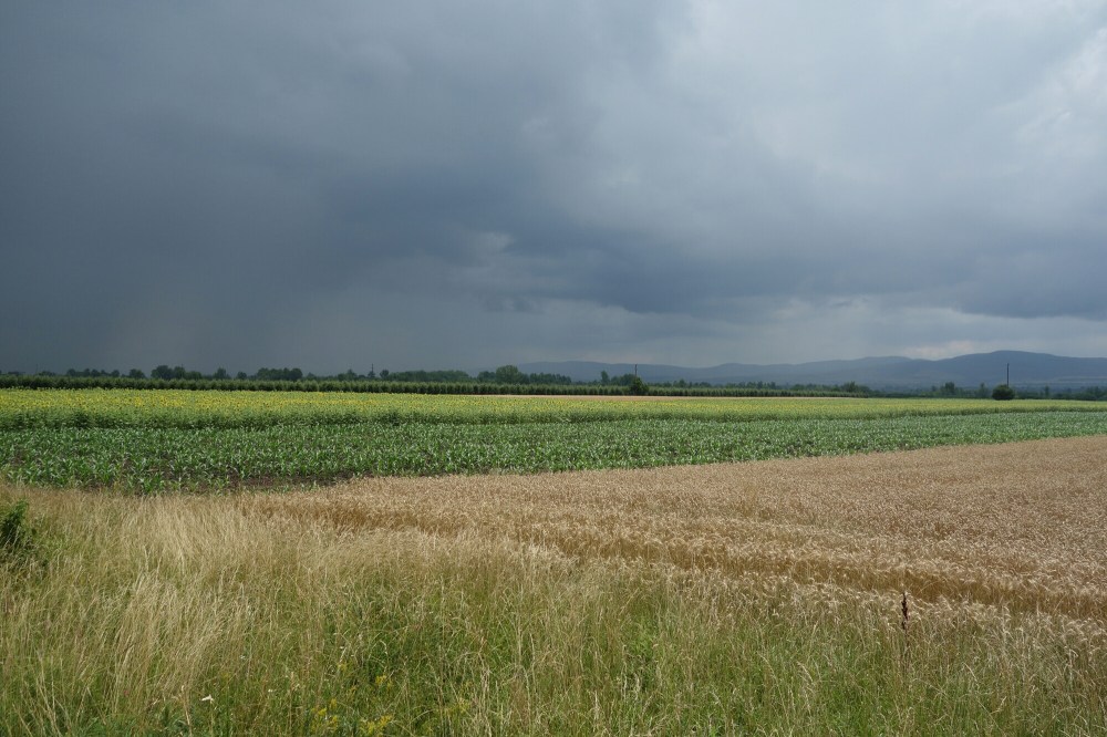 DSC01949.JPG image