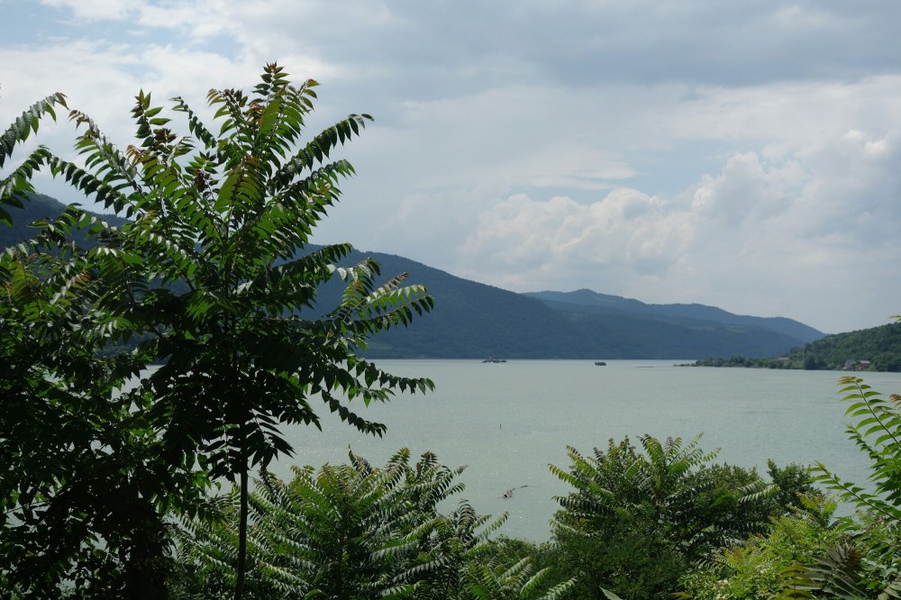 DSC01970.JPG image