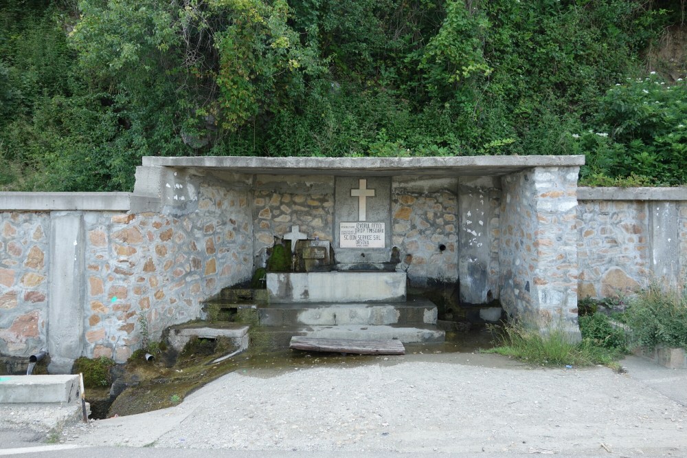 DSC01977.JPG image