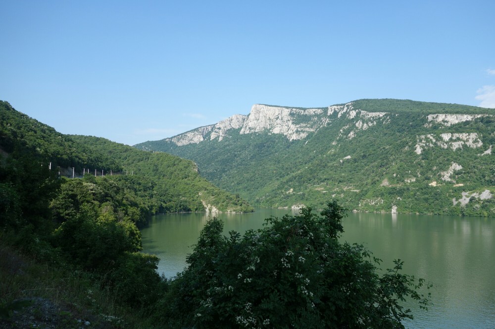 DSC01984.JPG image