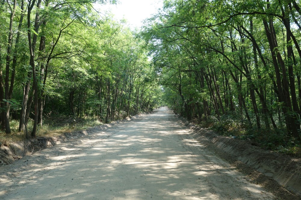DSC02001.JPG image