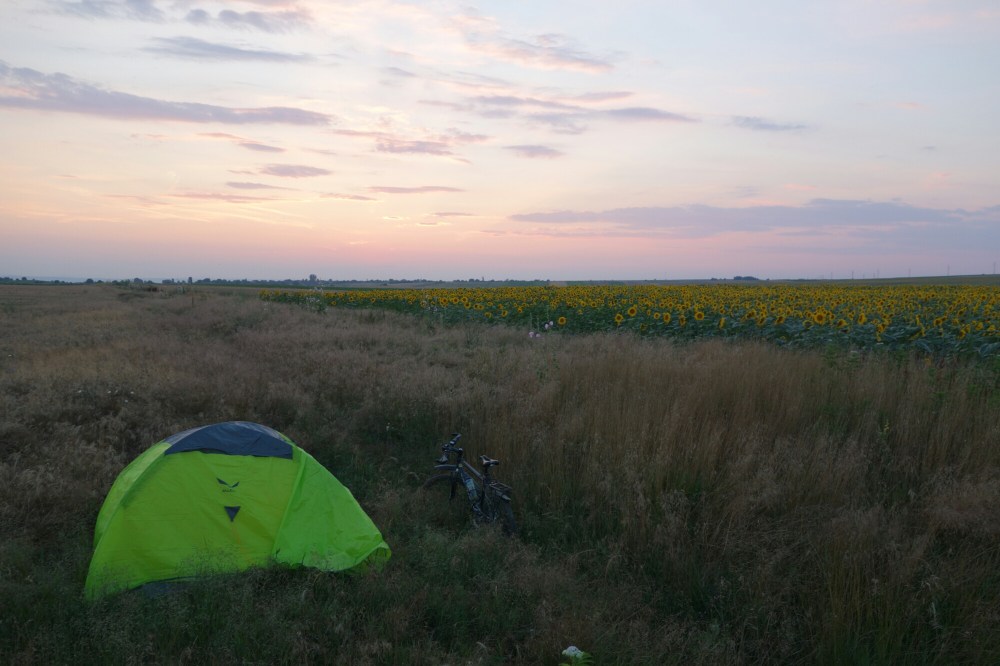 DSC02010.JPG image