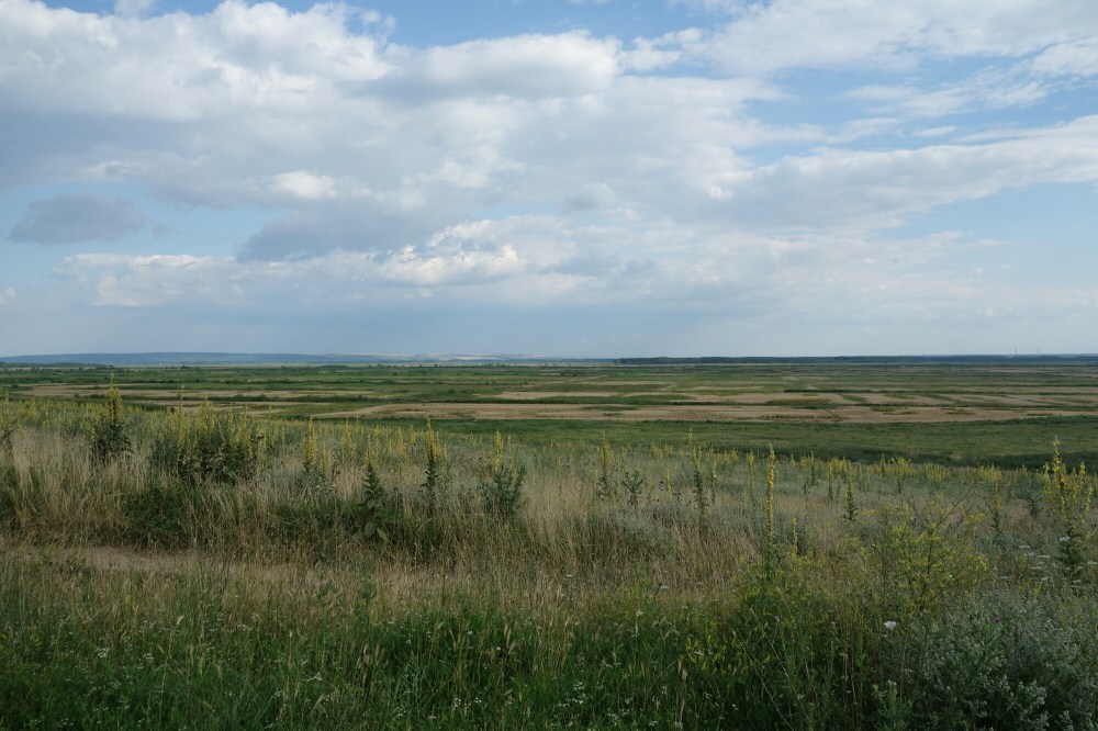 DSC02017.JPG image