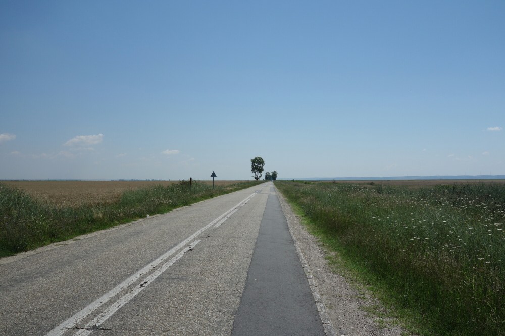 DSC02020.JPG image