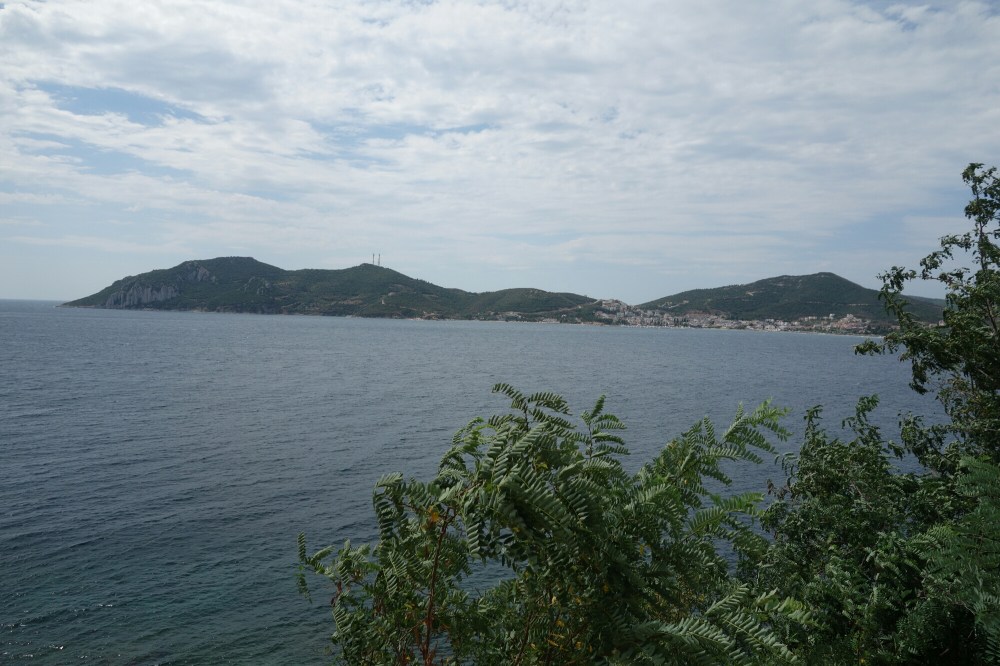 DSC02341.JPG image