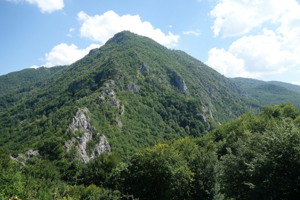 DSC02479.JPG image