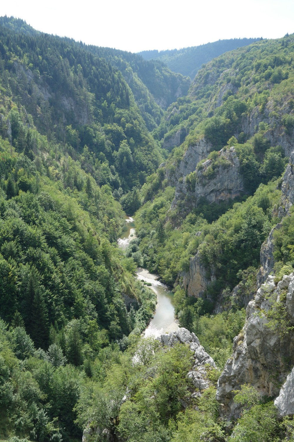 DSC02488.JPG image