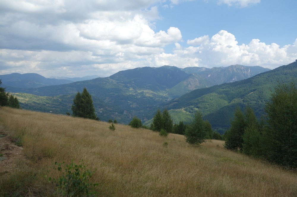 DSC02496.JPG image