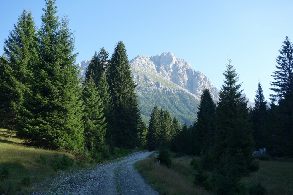 DSC02502.JPG image