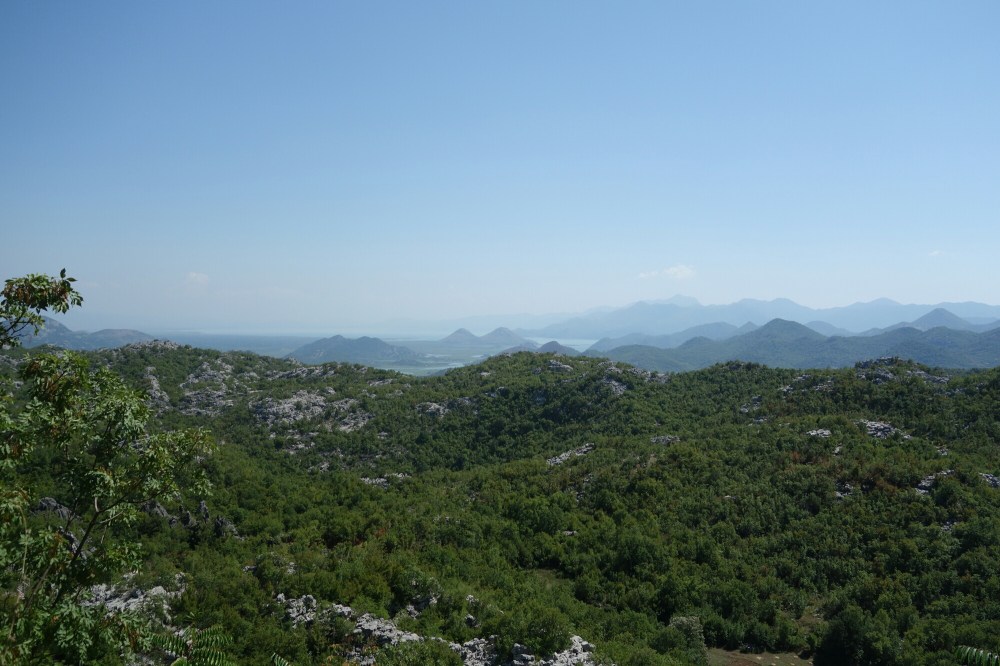 DSC02506.JPG image