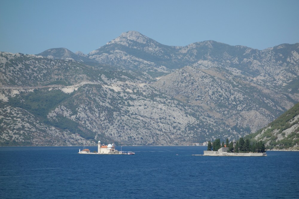 DSC02545.JPG image