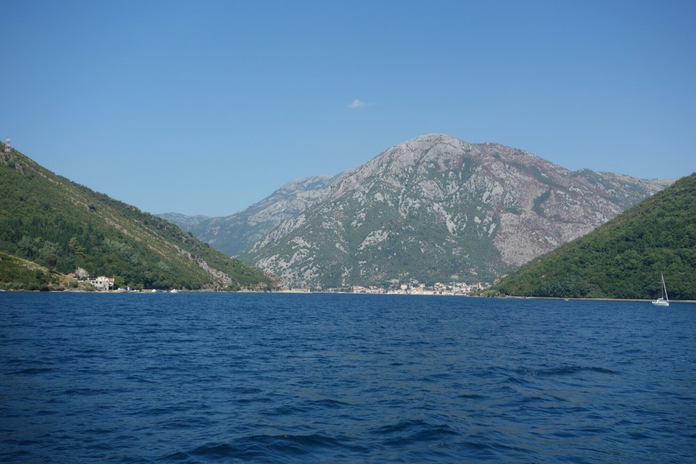 DSC02547.JPG image