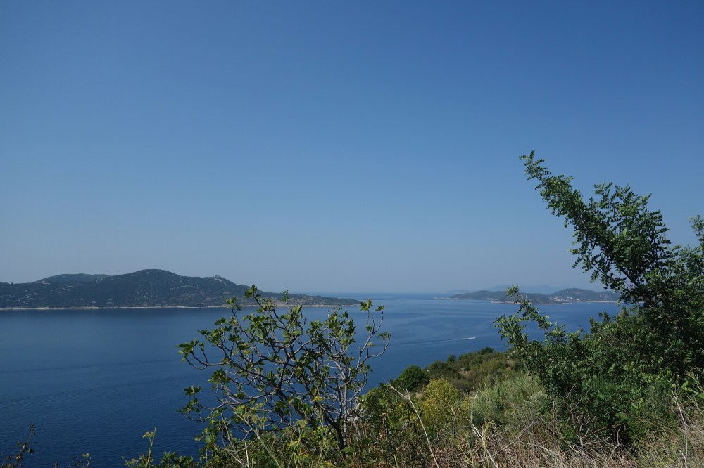 DSC02591.JPG image