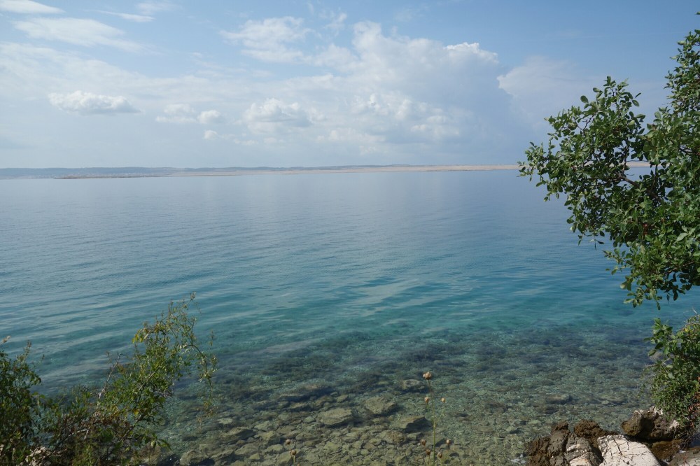 DSC02658.JPG image