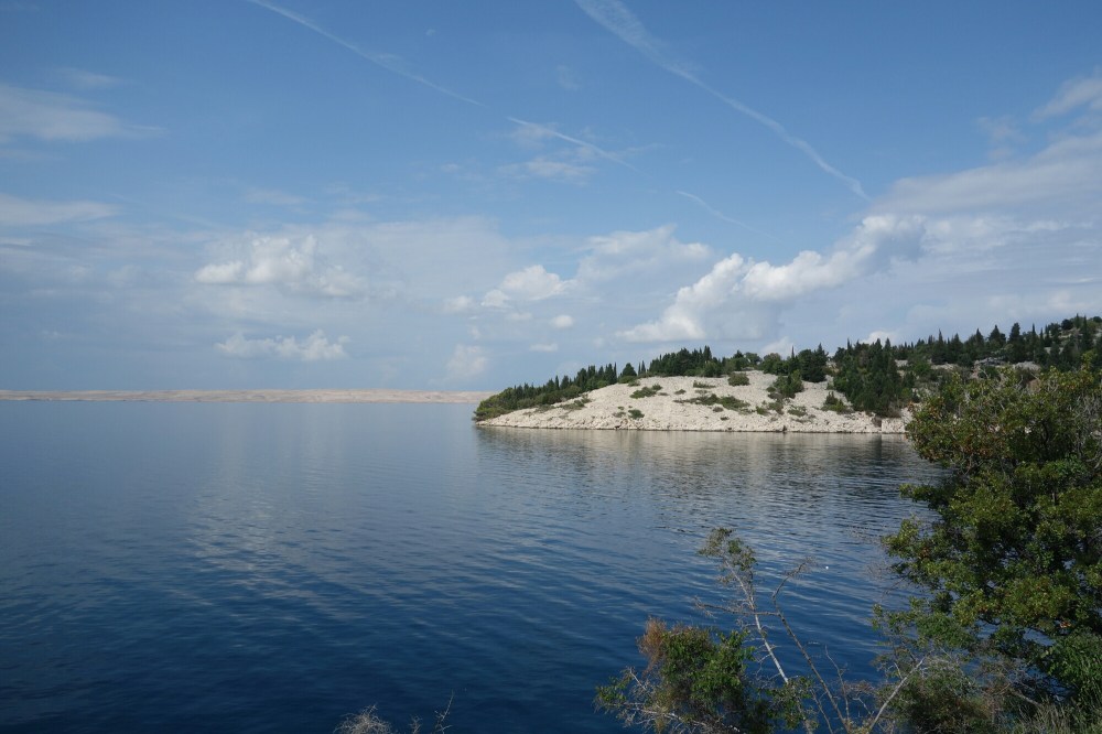 DSC02661.JPG image