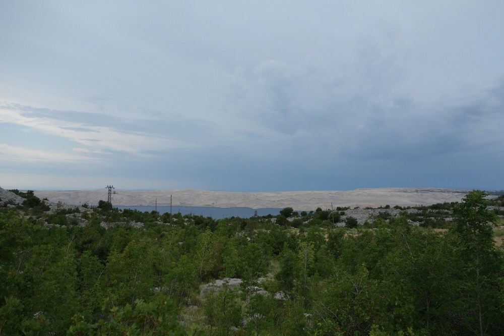 DSC02665.JPG image