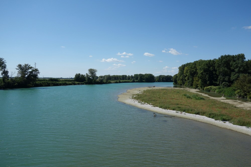 DSC02750.JPG image