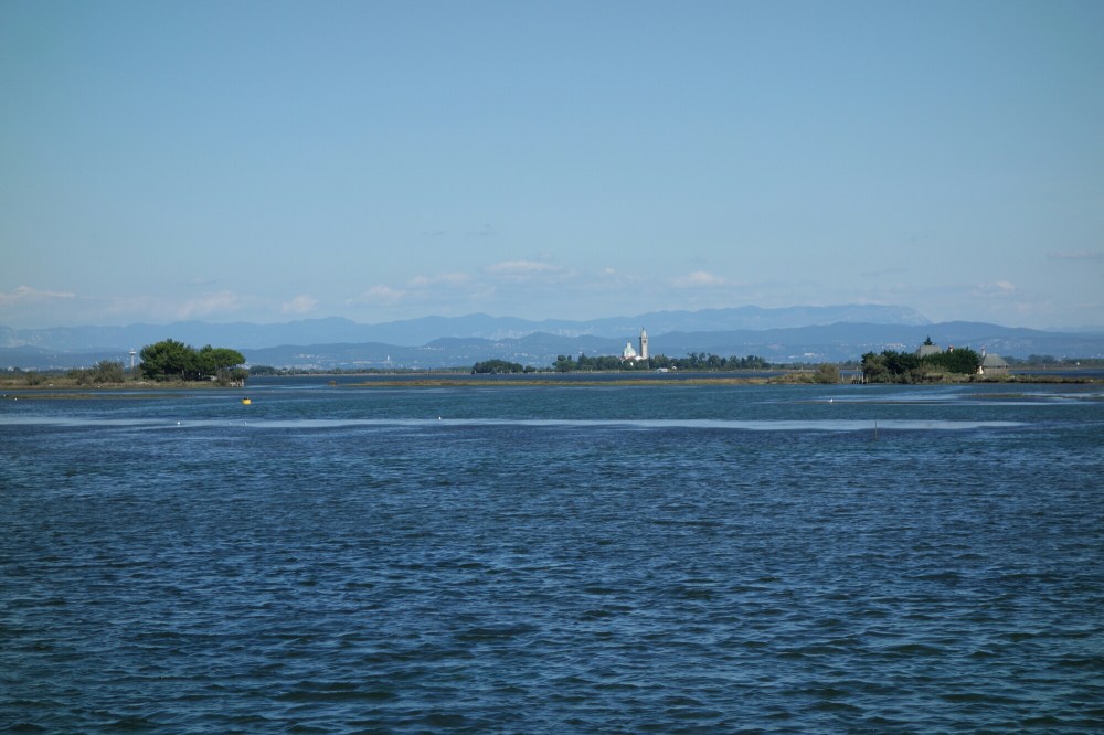 DSC02757.JPG image