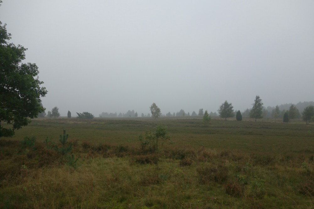 DSC03427.JPG image